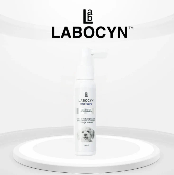 LABOCYN 除牙石潔齒噴劑