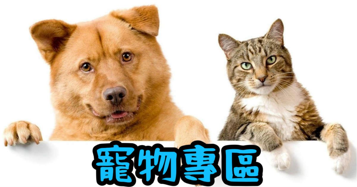 寵物用品