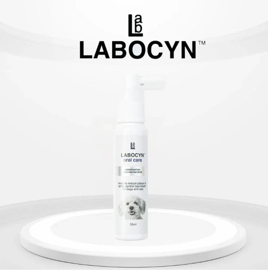 LABOCYN 除牙石潔齒噴劑